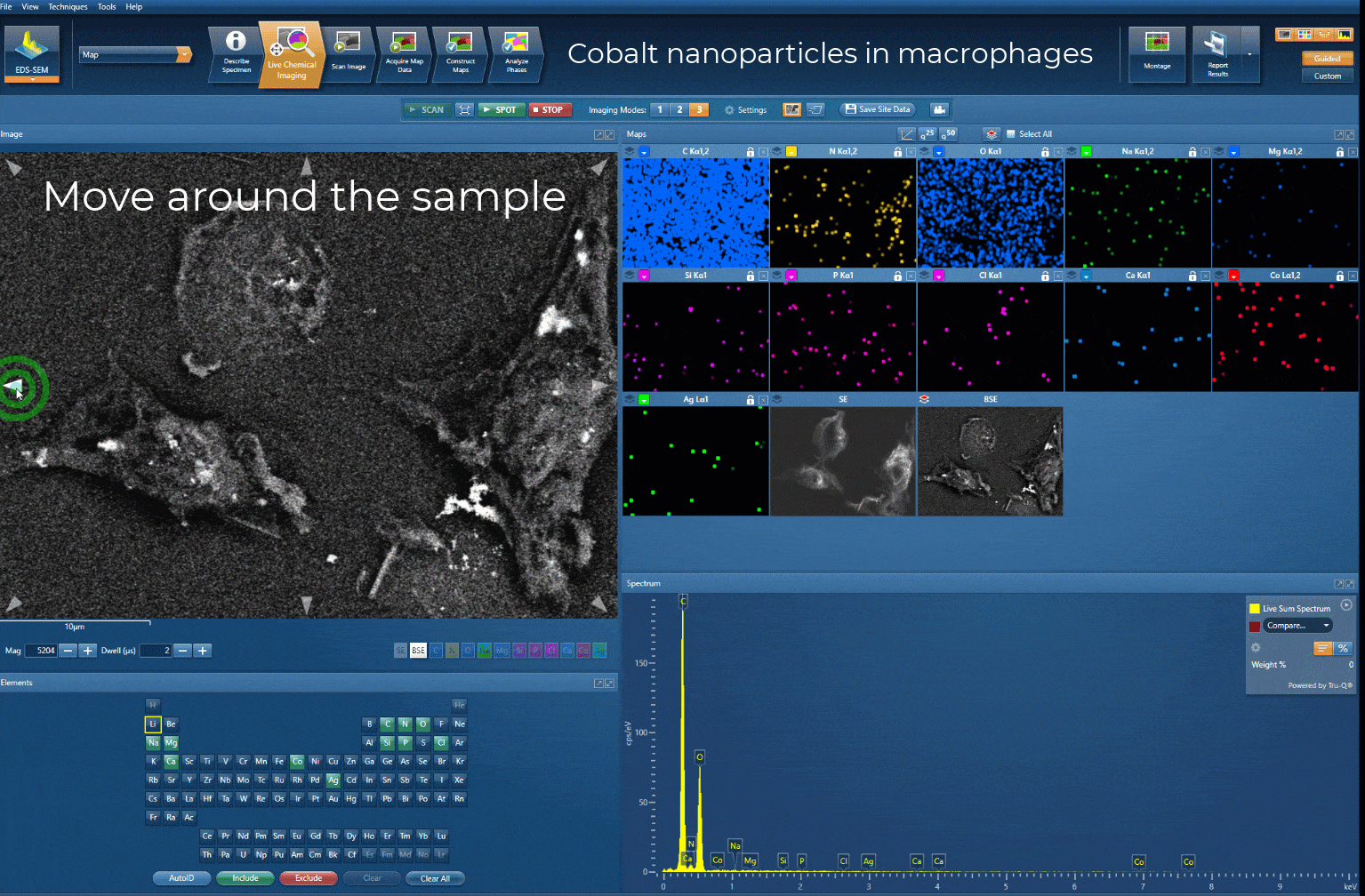 Video of live chemical imaging showing the rapid localisation and characterisation of nanoparticles within cells
